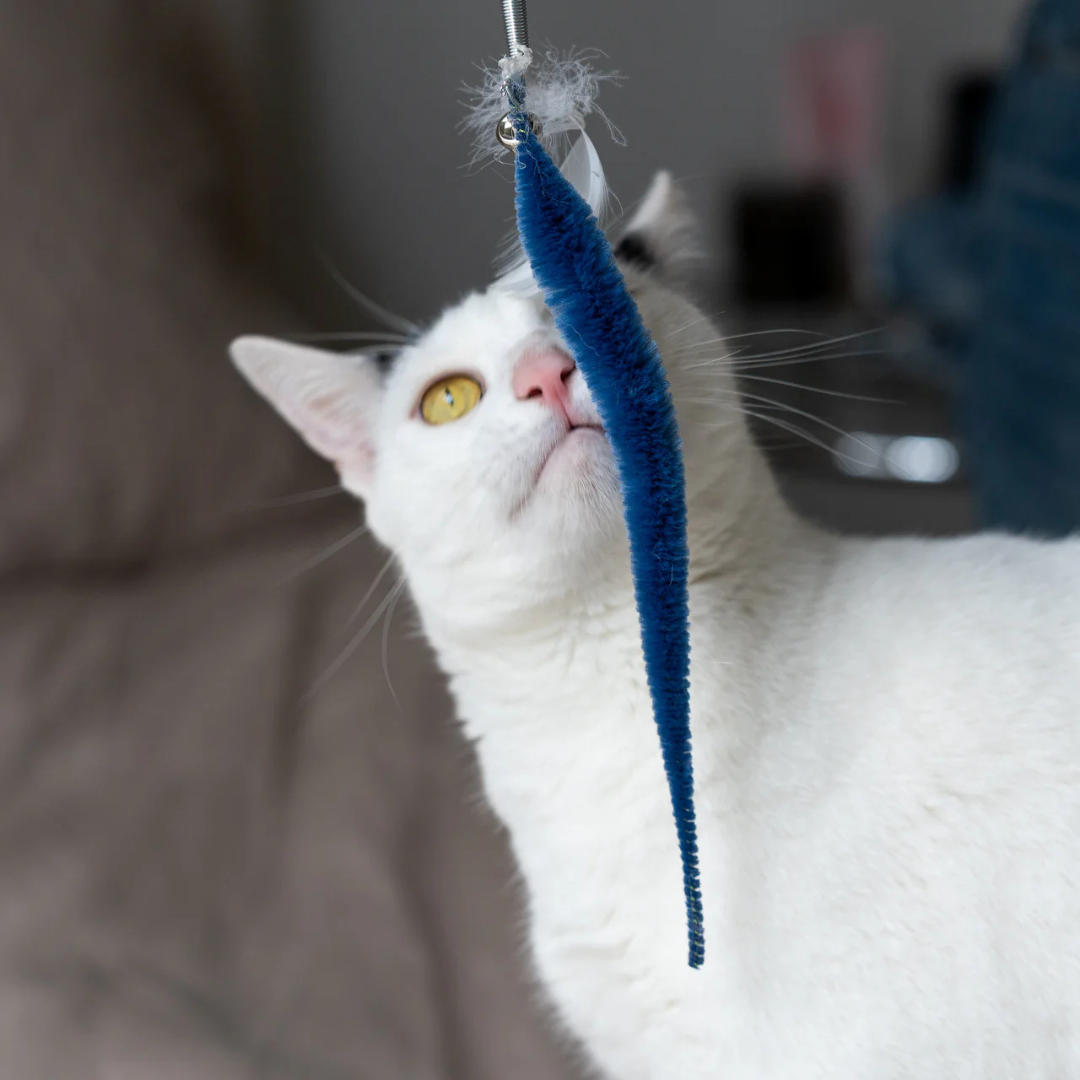 A white cat in a gray room is VERY interested in the Teaser toy, their face very close to the long blue lure attached to the wire. You can also see the bell and feather at the top of the lure.
