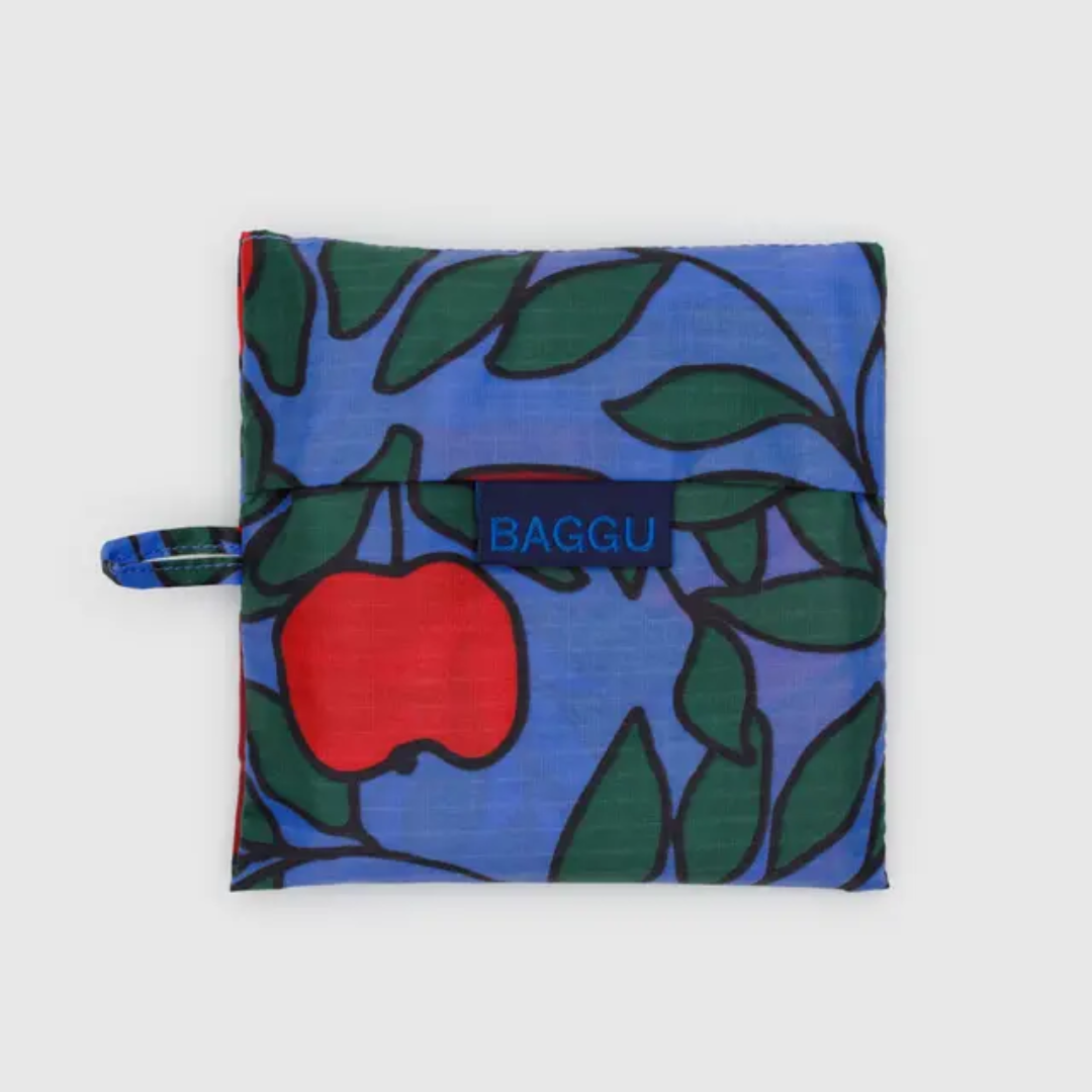 Folded bag in its pouch