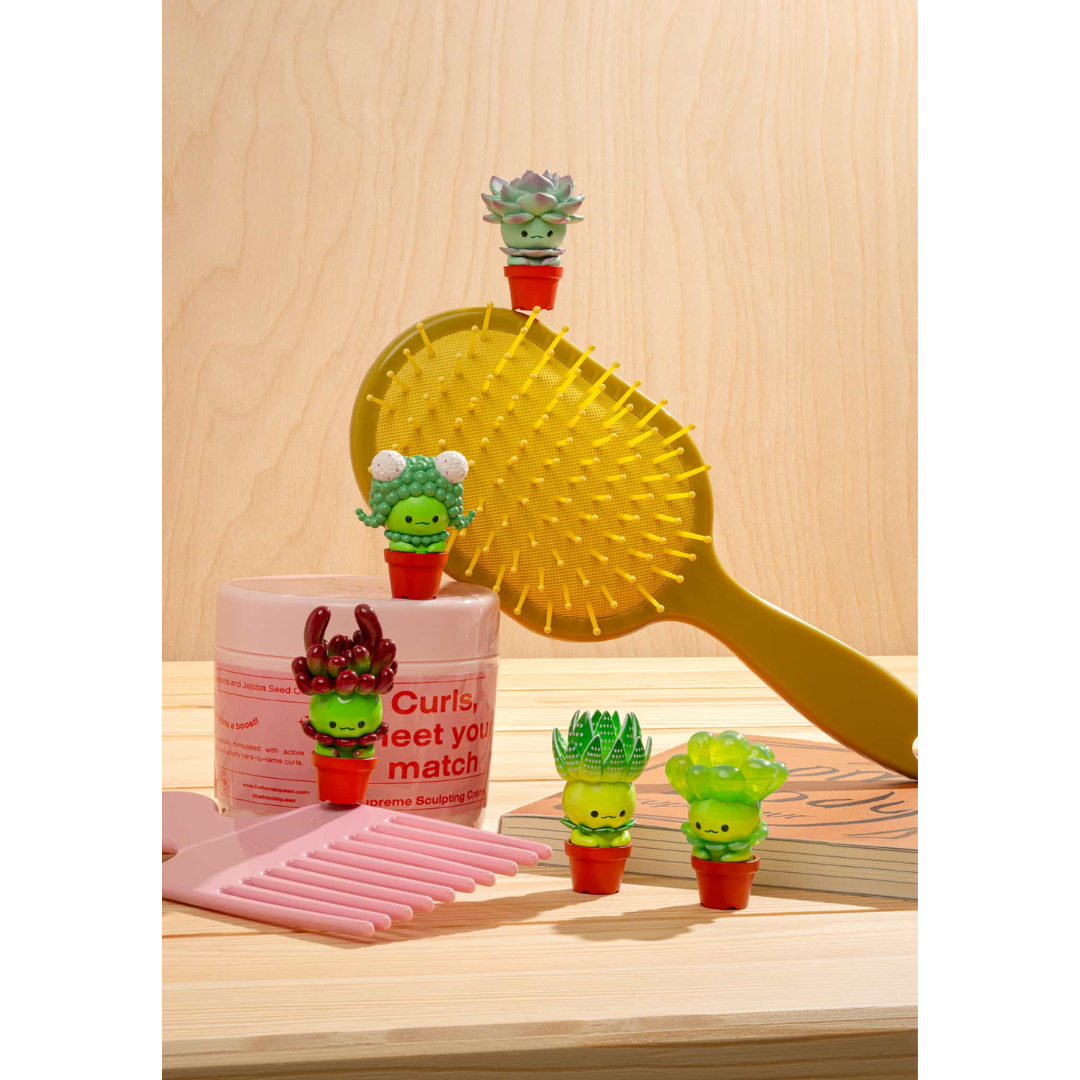 succulent figurines Blind Box Succulent Friends