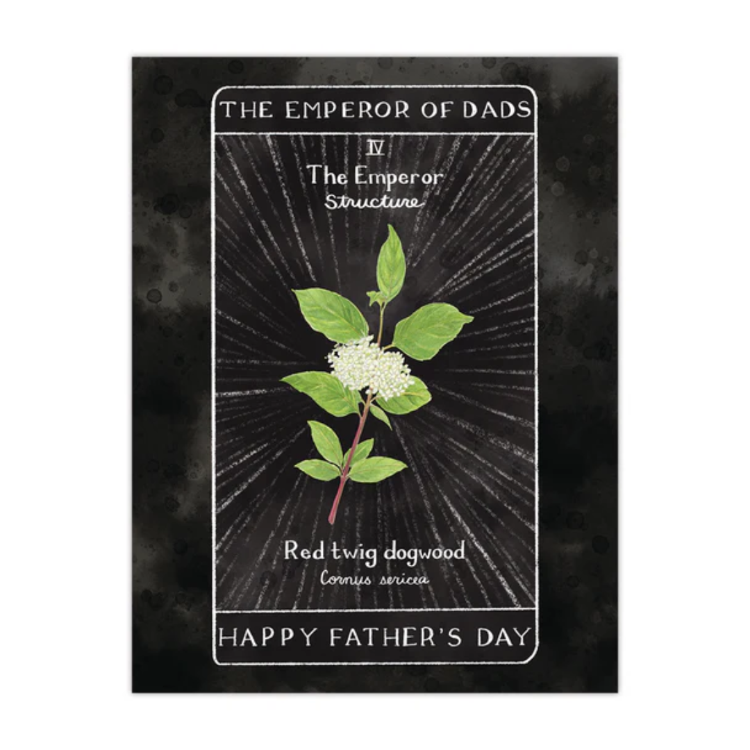 Card with a black background styled after "The Emperor" Tarot card. Says "The Emperor of Dads" at the top, "The Emperor/Structure"in the middle with watercolor of a Red twig dogwood, and "Happy Father's Day" at the bottom