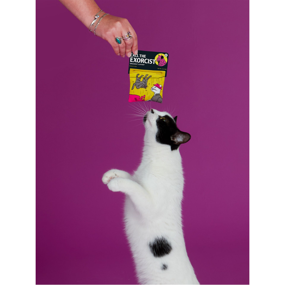 A jeweled hand offers an adorable white cat with black spots a taste of the nip that will lead the poor kitty down a road of catnip madness.