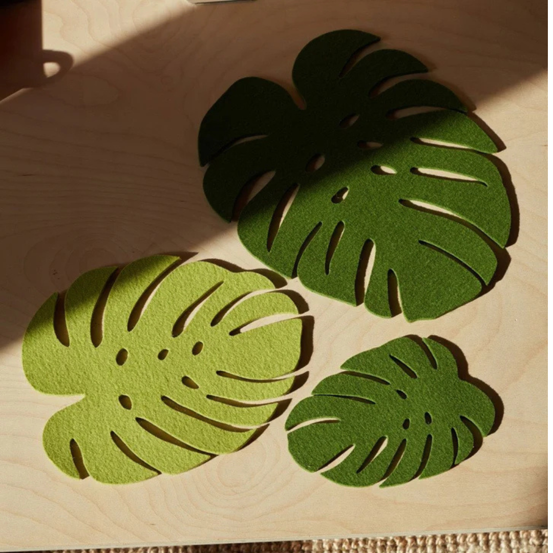 trio of monstera trivets and coasters