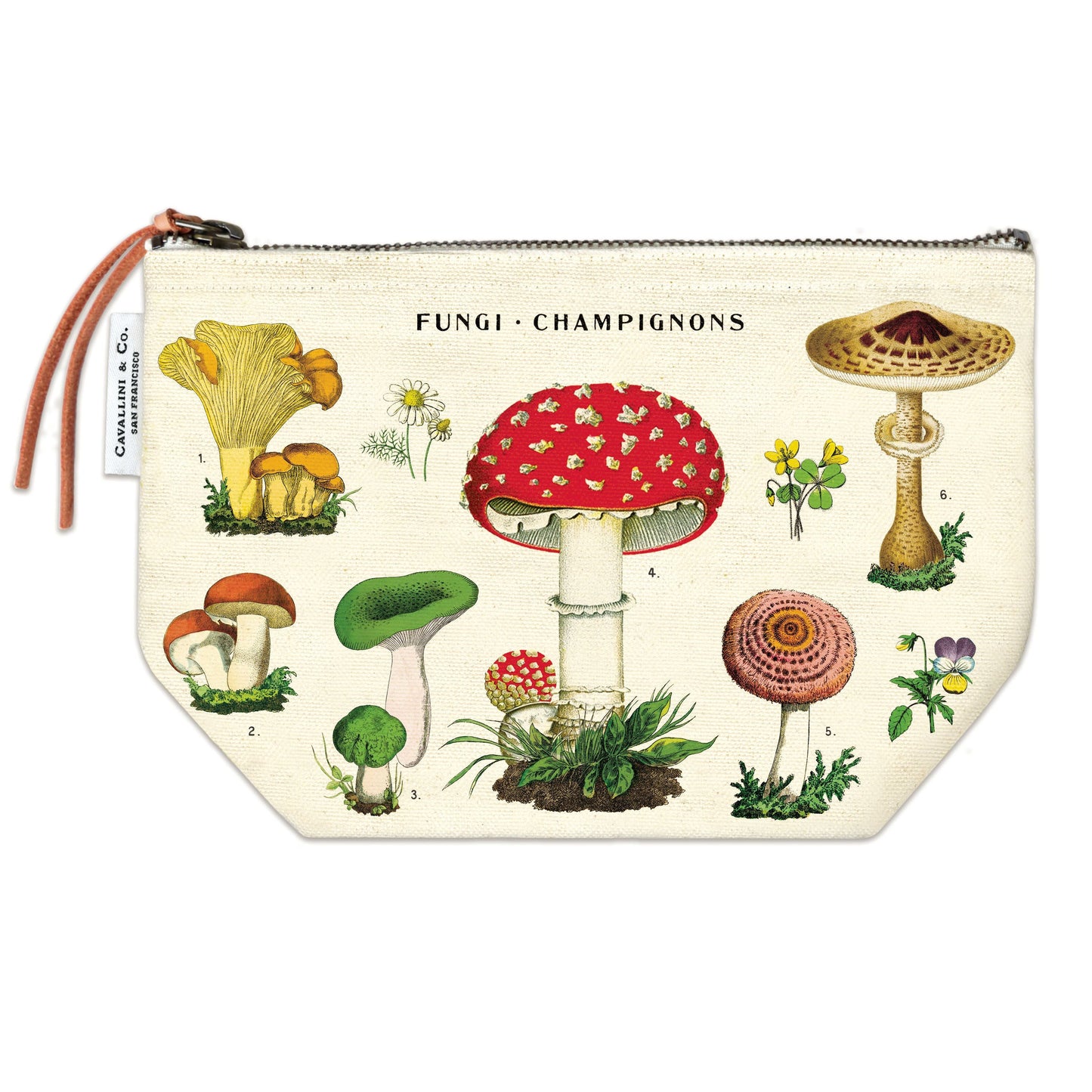 Cavallini & Co. Pouch - Mushrooms