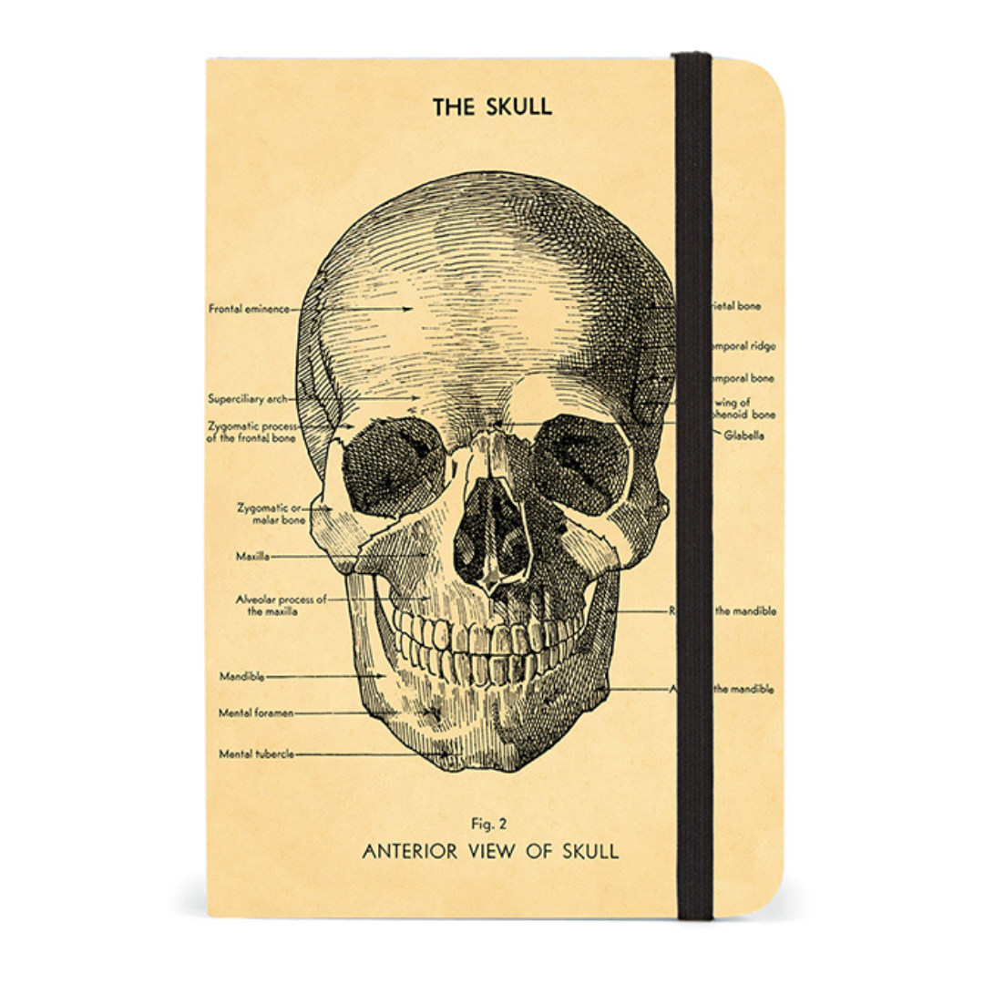 Notebook with a skull illustration on a beige cover