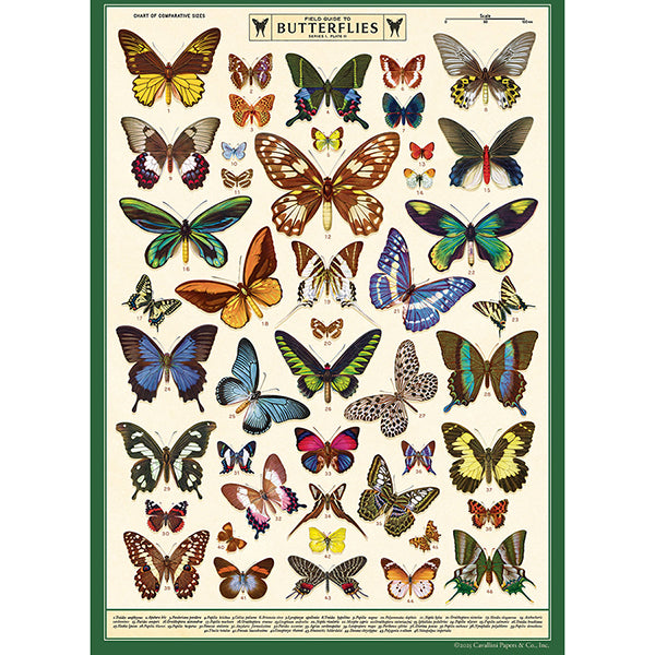 Cavallini & Co. Wrap - Field Guide to Butterflies