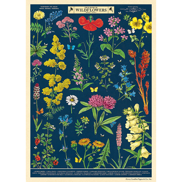 Cavallini & Co. Wrap - Field Guide to Wildflowers