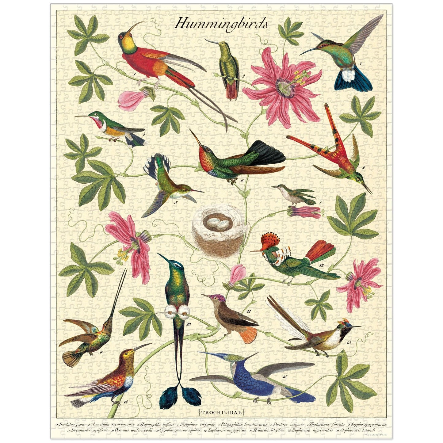 Cavallini & Co. 1000 Piece Puzzle - Hummingbird