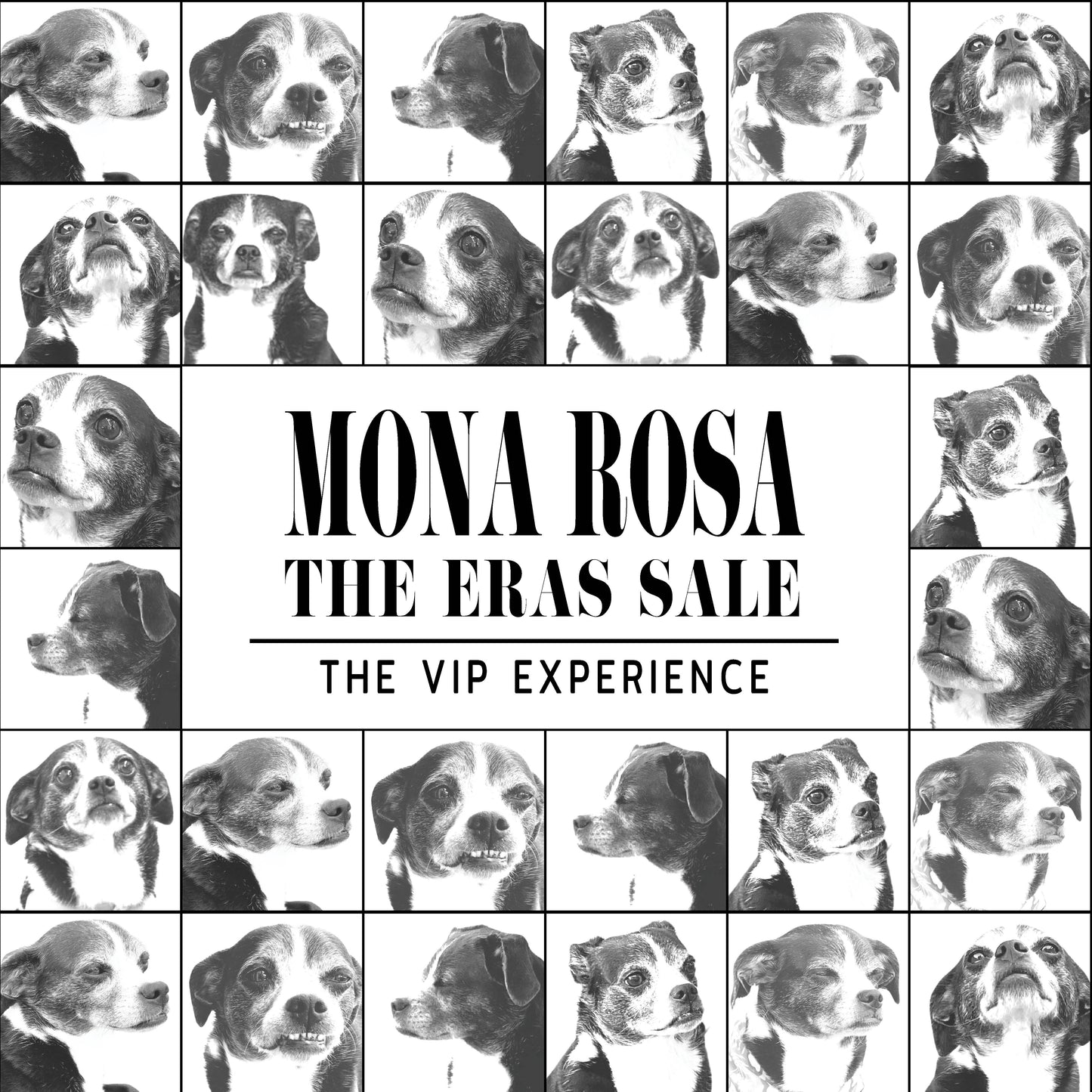 VIP Ticket Mona's Eras Tour