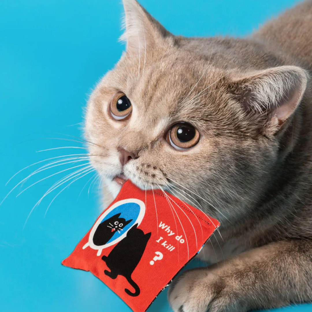 Existential Kitty Catnip Toy