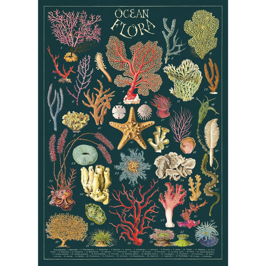 Cavallini & Co. Wrap - Ocean Flora
