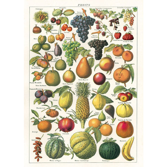 Cavallini & Co. Wrap - Fruit Chart