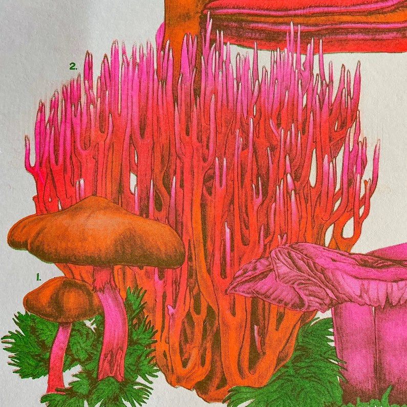 Mushrooms of the NW Riso Print