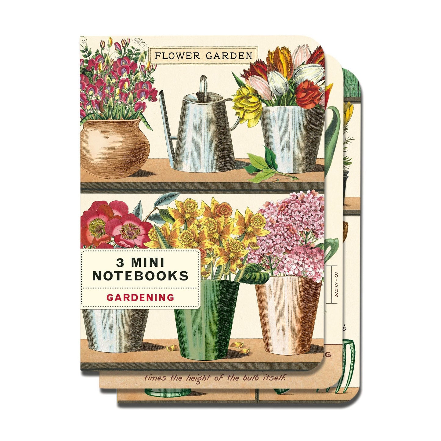 Cavallini & Co. 3 Mini Notebooks - Garden