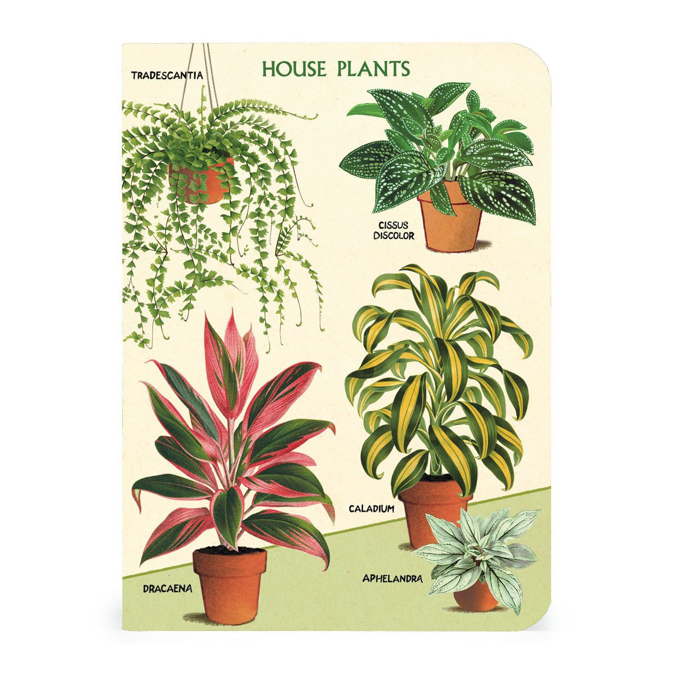 Cavallini & Co. 3 Mini Notebooks - House Plants
