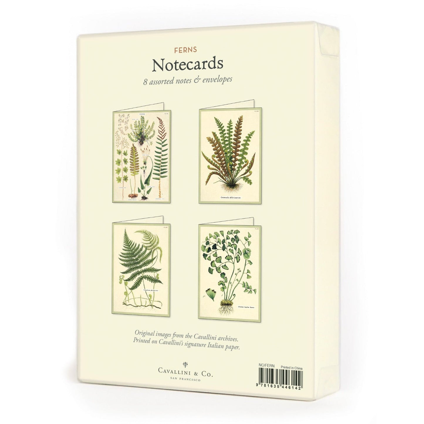 Cavallini & Co. Boxed Note Cards - Ferns