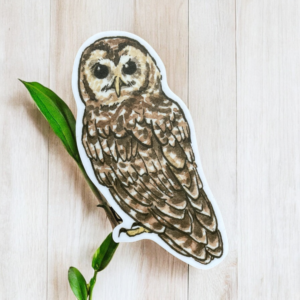 Northern spotted owl sticker is brown and, well... spotted... with a white boarder around the owl.