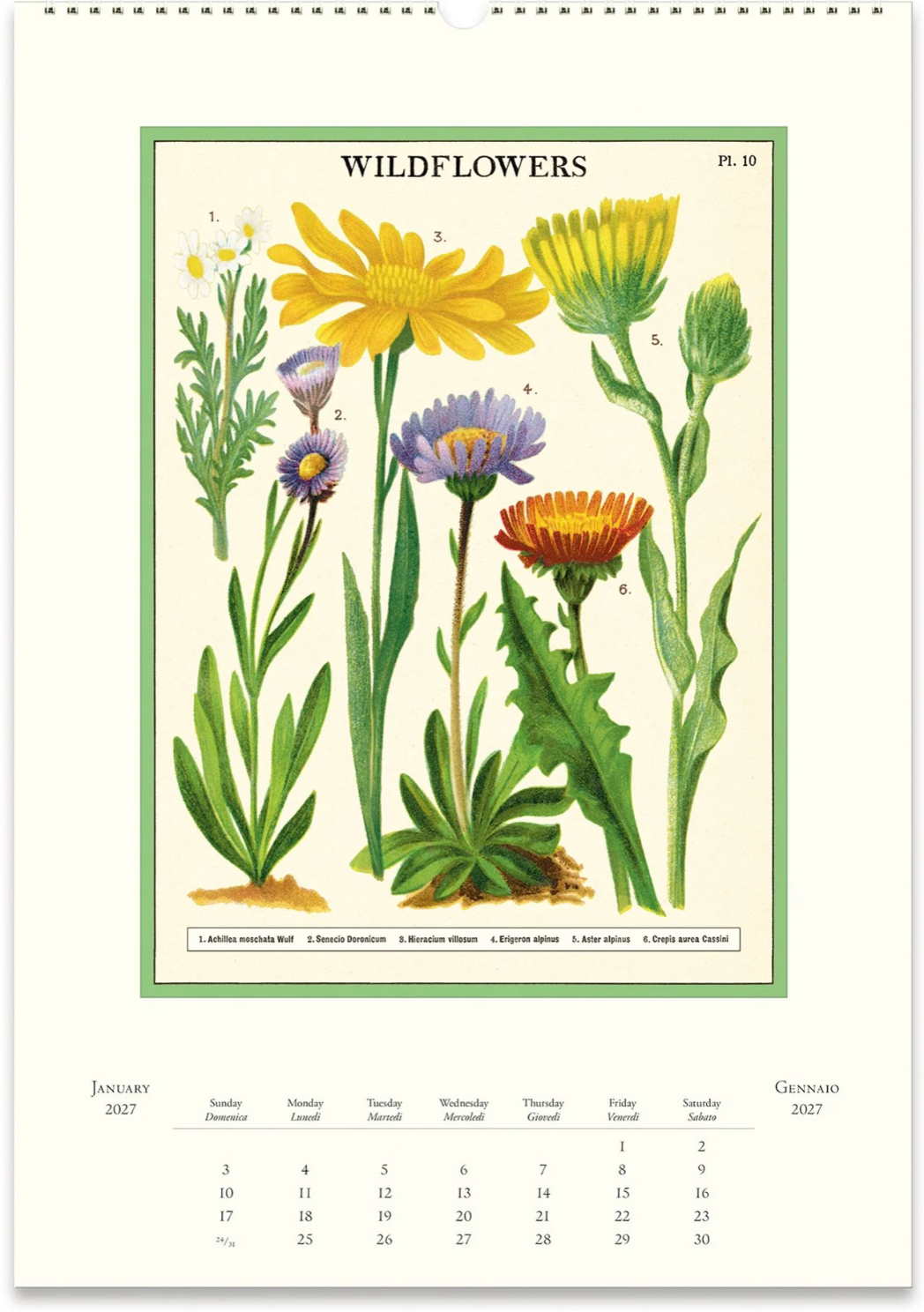 Cavallini & Co. 2027 Wall Calendar - Wildflowers