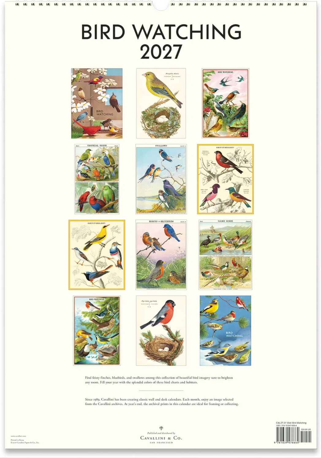 Cavallini & Co. 2027 Wall Calendar - Bird Watching