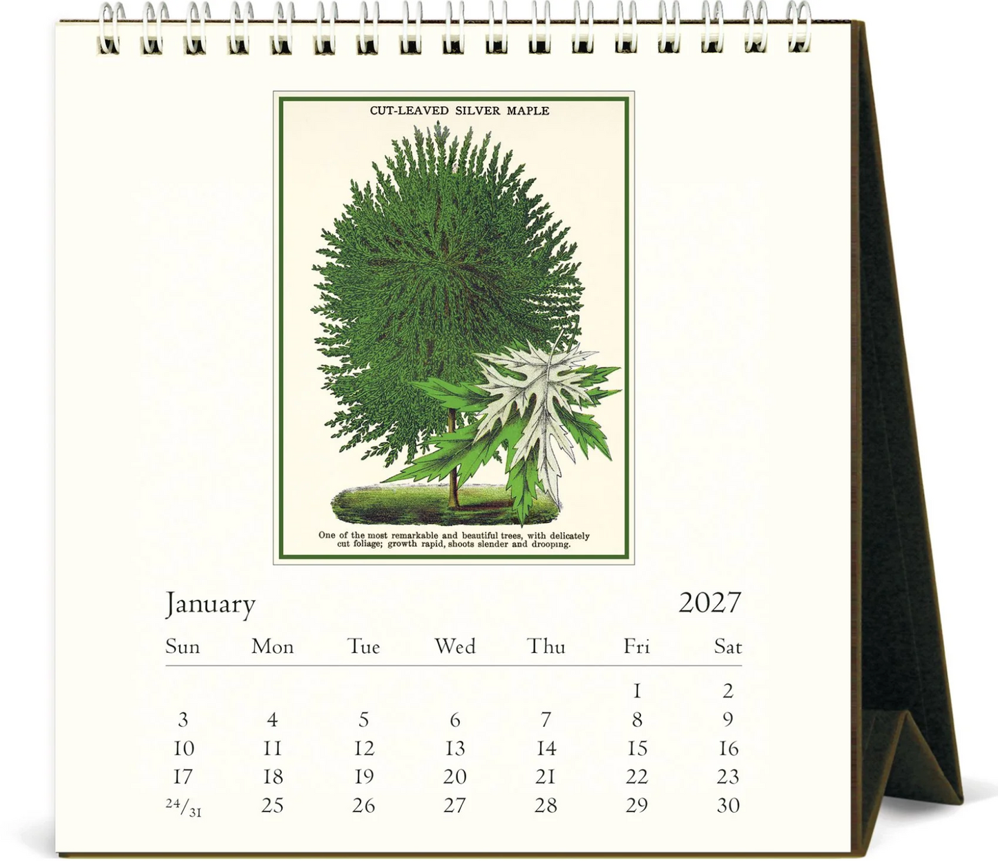 Cavallini & Co. 2027 Desk Calendar - Arboretum