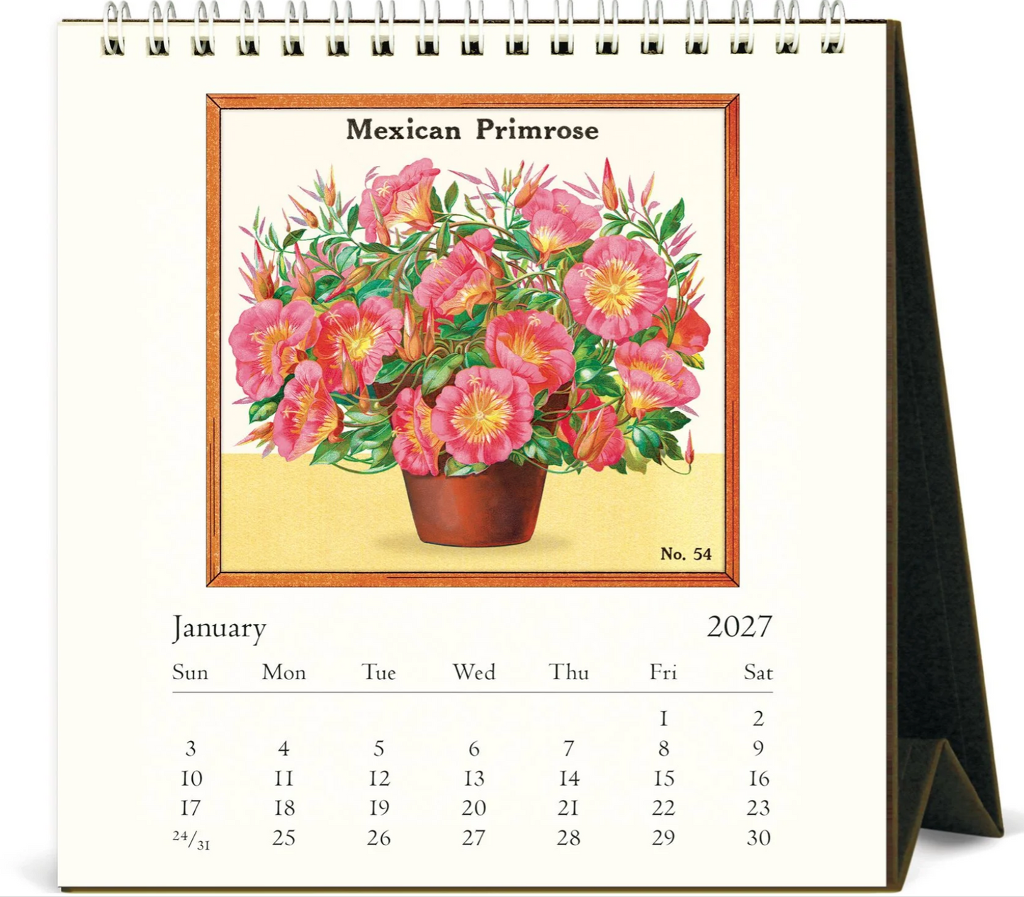 Cavallini & Co. 2027 Desk Calendar - Jardiniere
