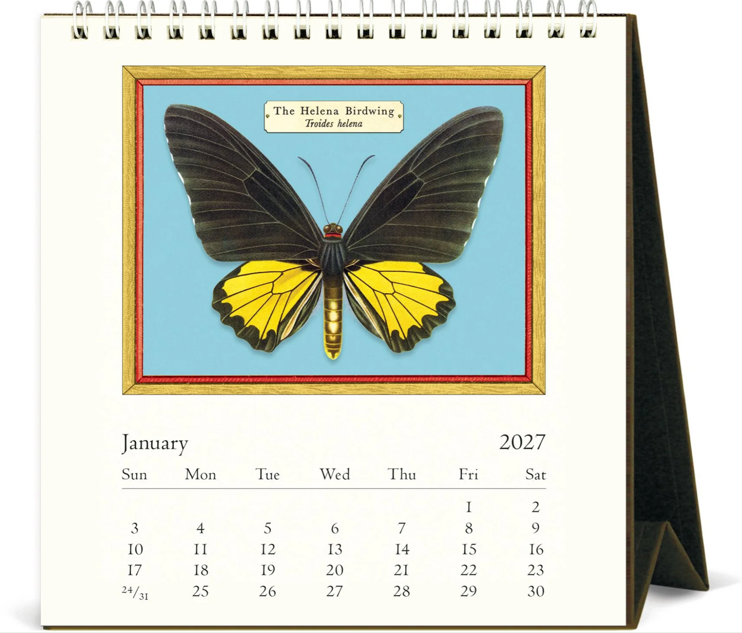 Cavallini & Co. 2027 Desk Calendar - Butterflies