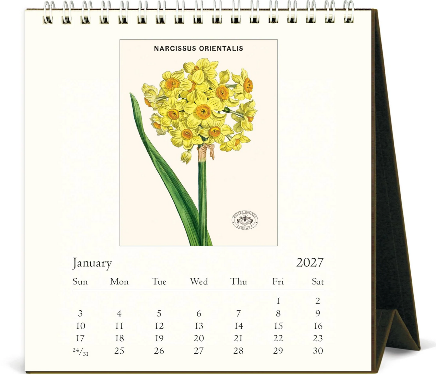 Cavallini & Co. 2027 Desk Calendar - Botanica