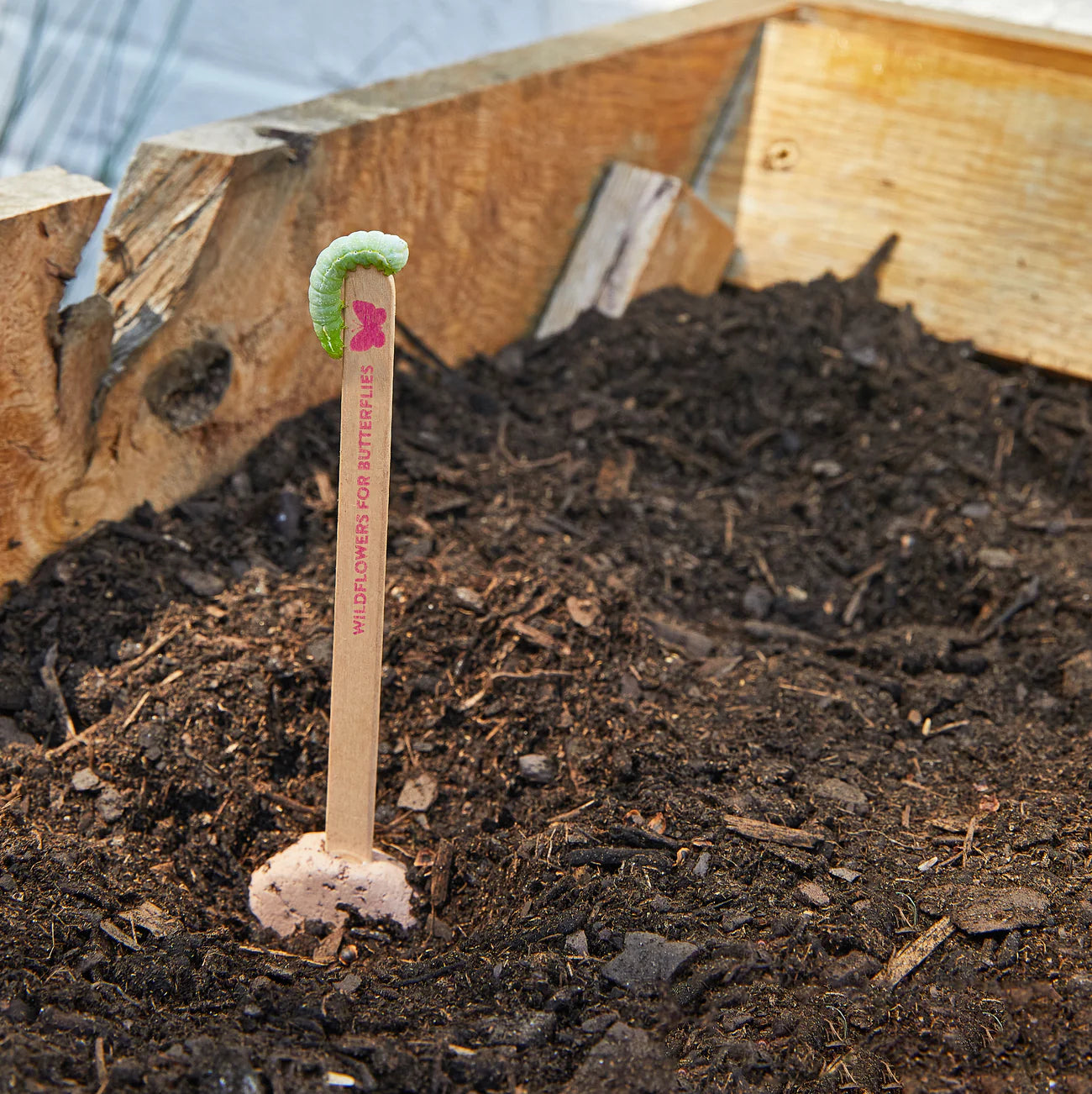 Seed Lollipop - Pollinator