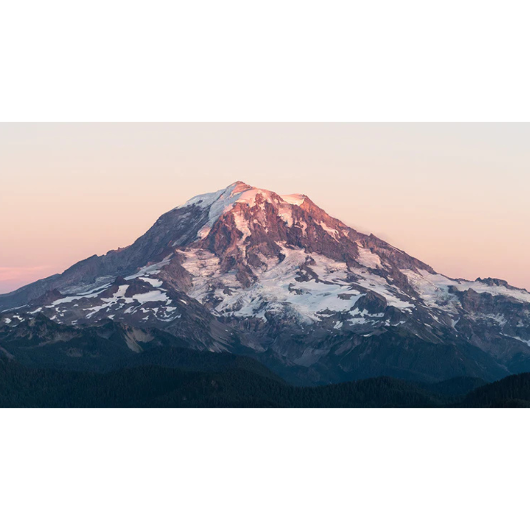 The Mountain Tumbler - Mt. Rainier