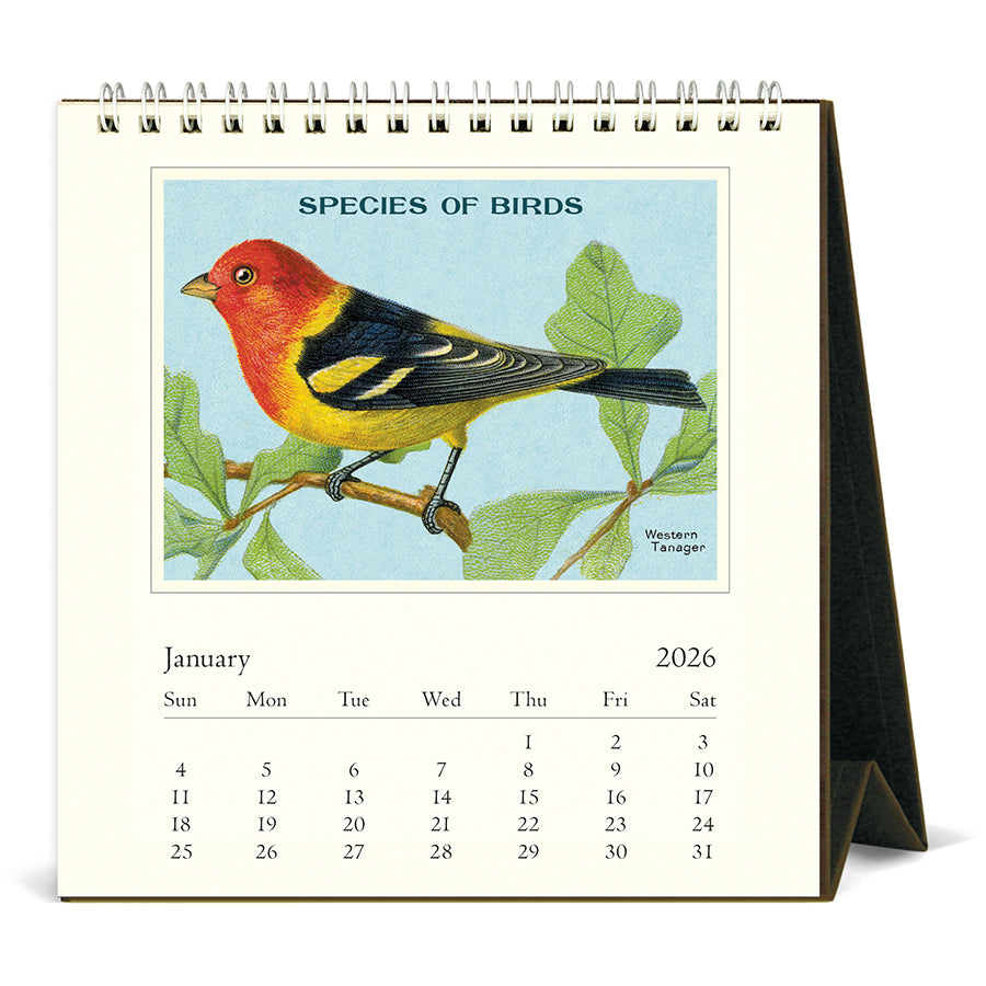 Calendar with a bird illustration