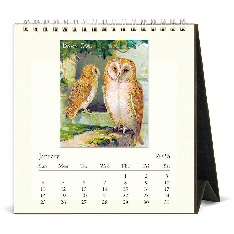 Calendar with barn owl illustration for January 2026
