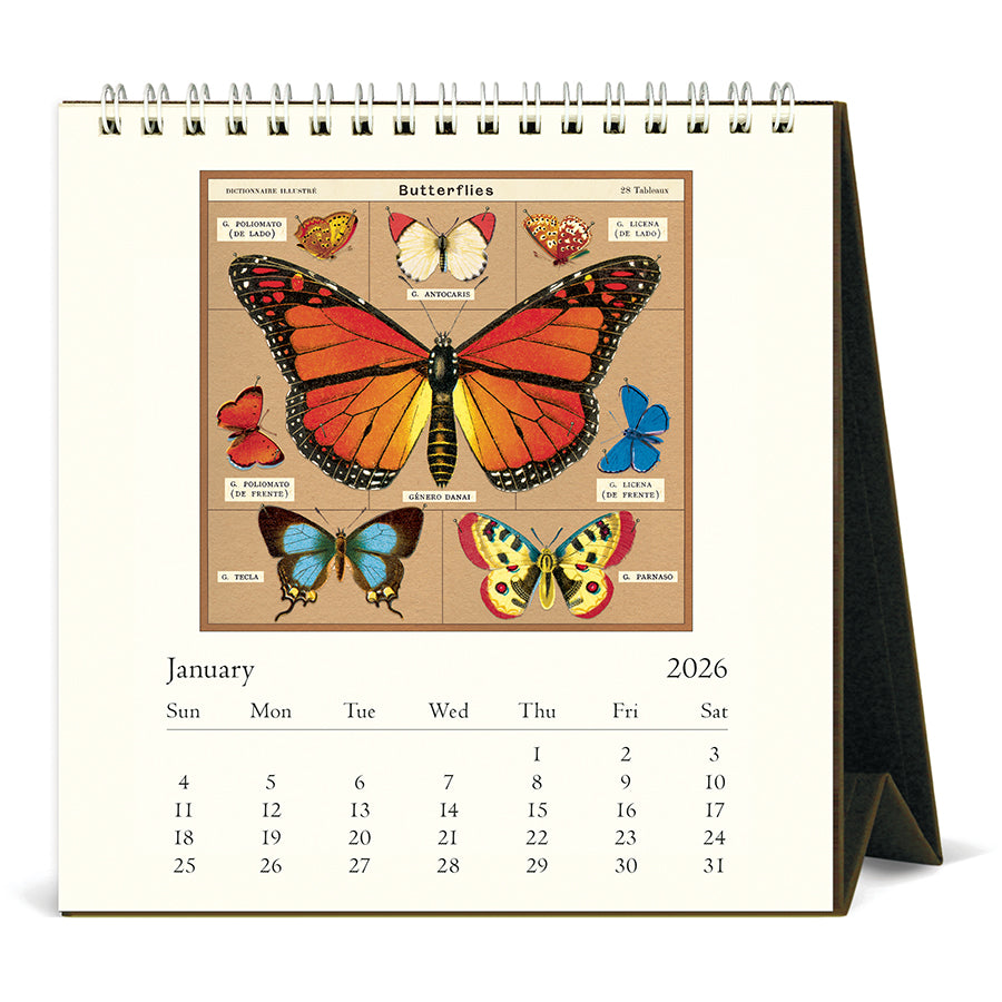 Calendar with butterfly illustration