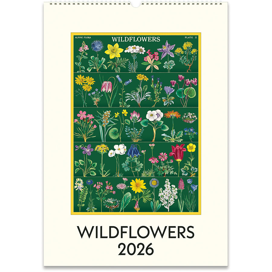 BUY Cavallini 2026 Wall Calendar Botanica Cavallini wall calendars 2026