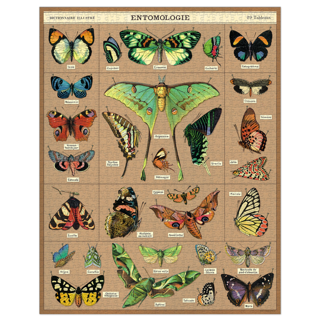 Cavallini & Co. 1000 Piece Puzzle - Entomology