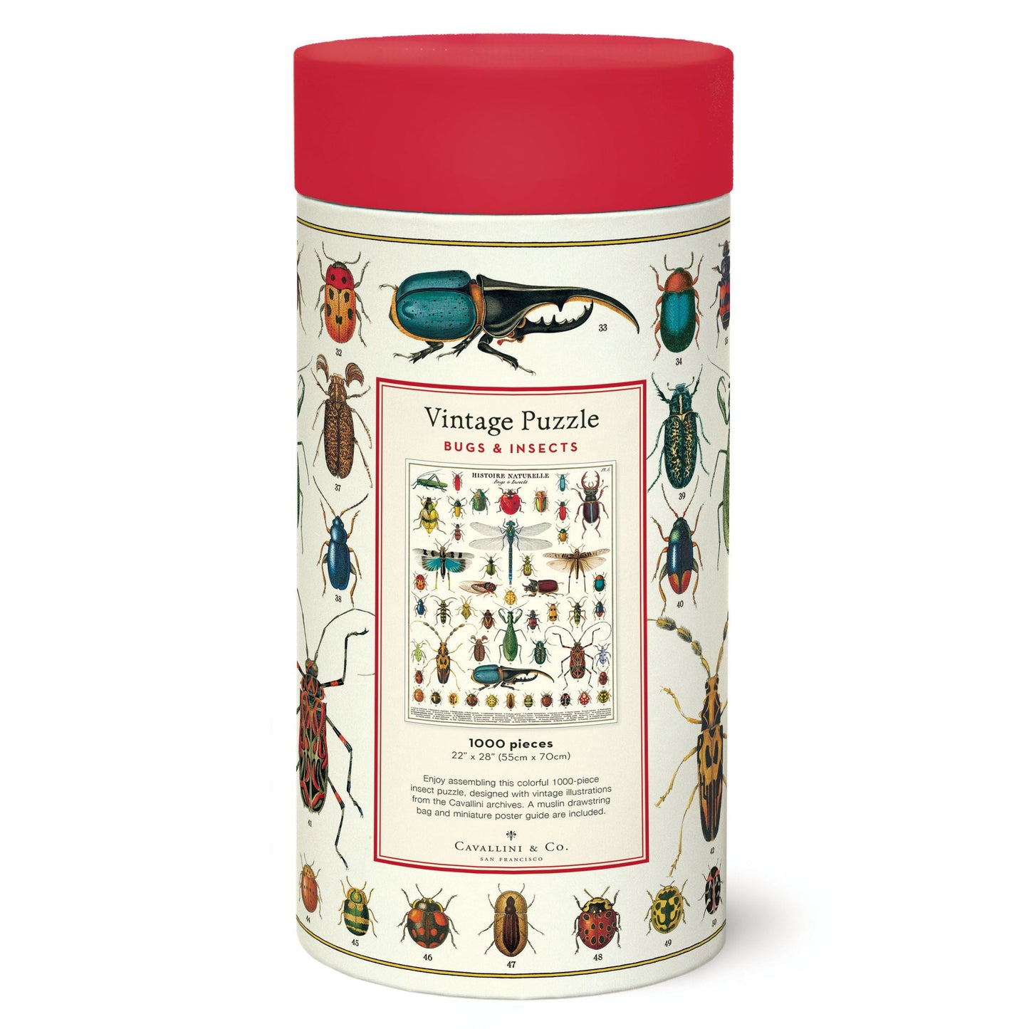 Cavallini & Co. brand puzzle container of bugs and insects style