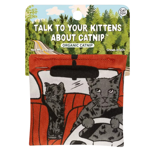 Talk to Your Kittens Catnip Toy