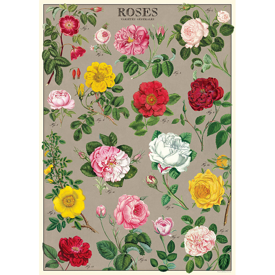 Cavallini & Co. Wrap - Roses
