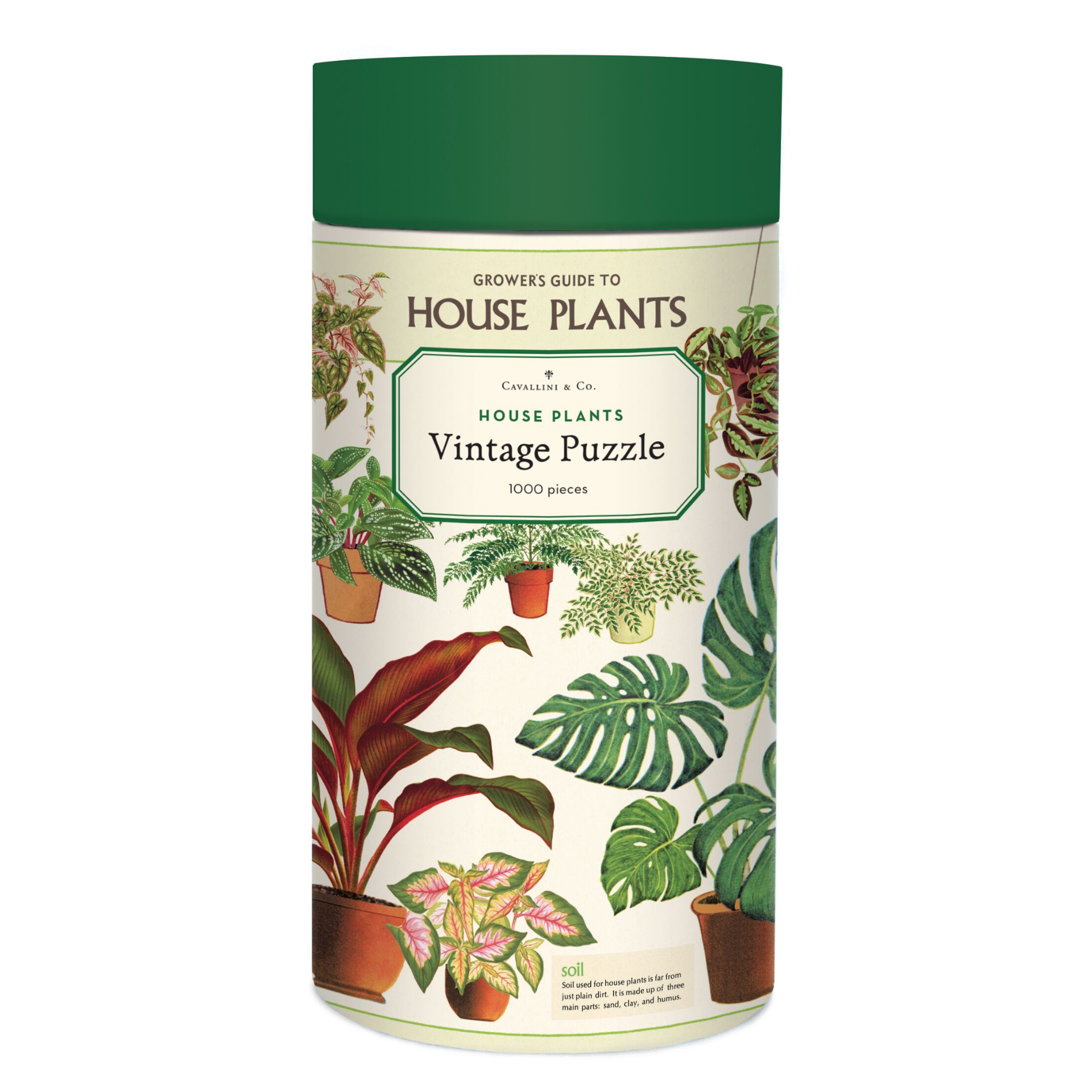 house plants puzzle Cavallini & Co. 1000 Piece Puzzle