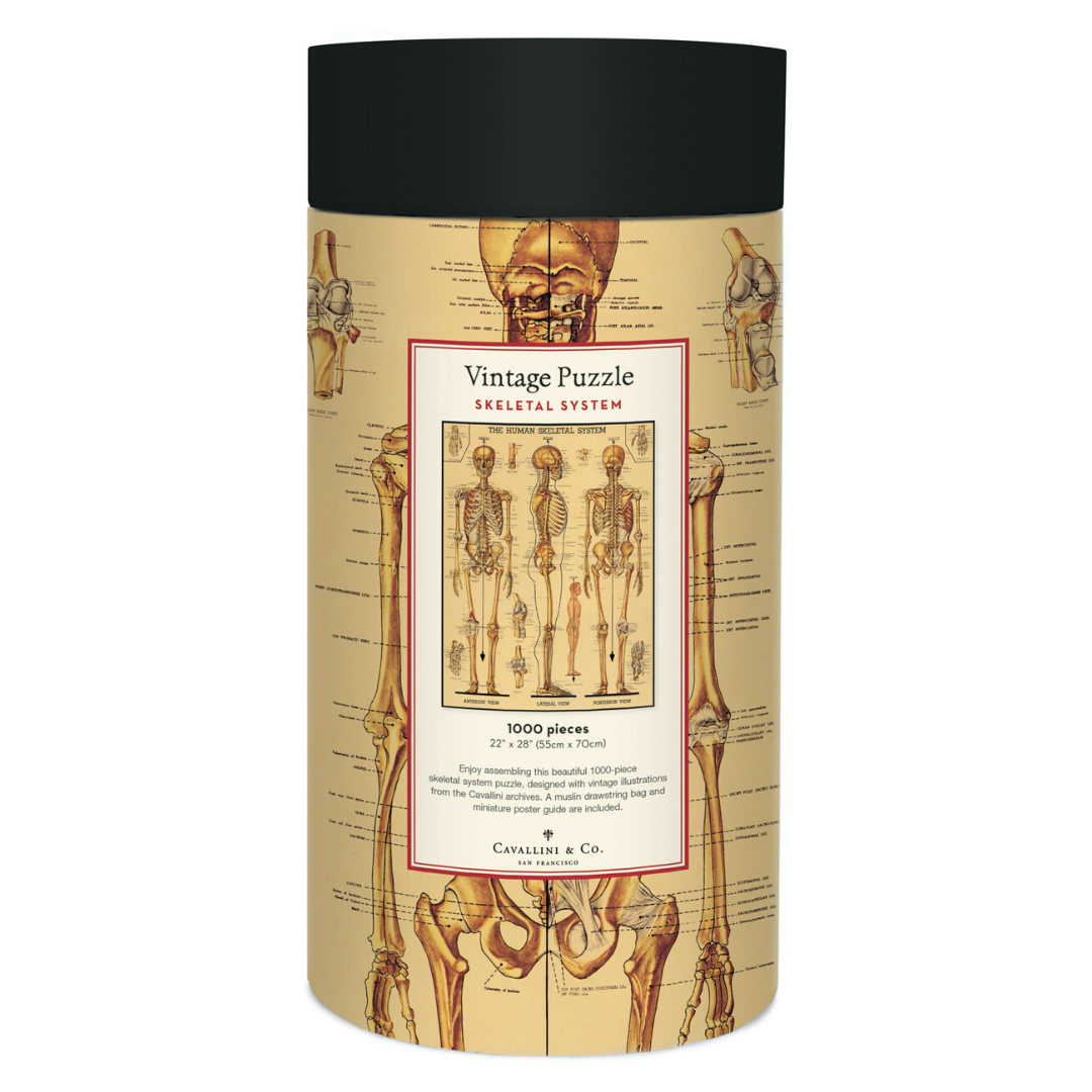 Cavallini & Co. 1000 Piece Puzzle - Skeletal System