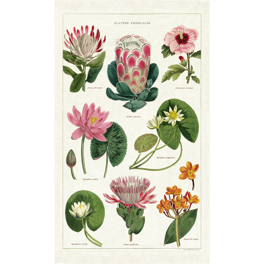 Cavallini & Co. Tea Towel - Tropical Plants