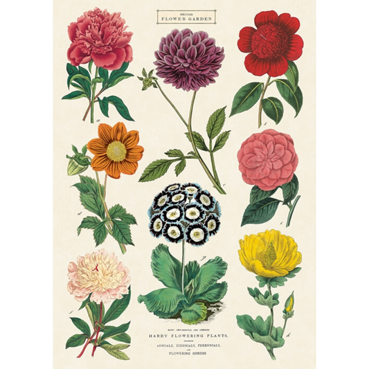 An art print and paper wrap which features various types and color of flower