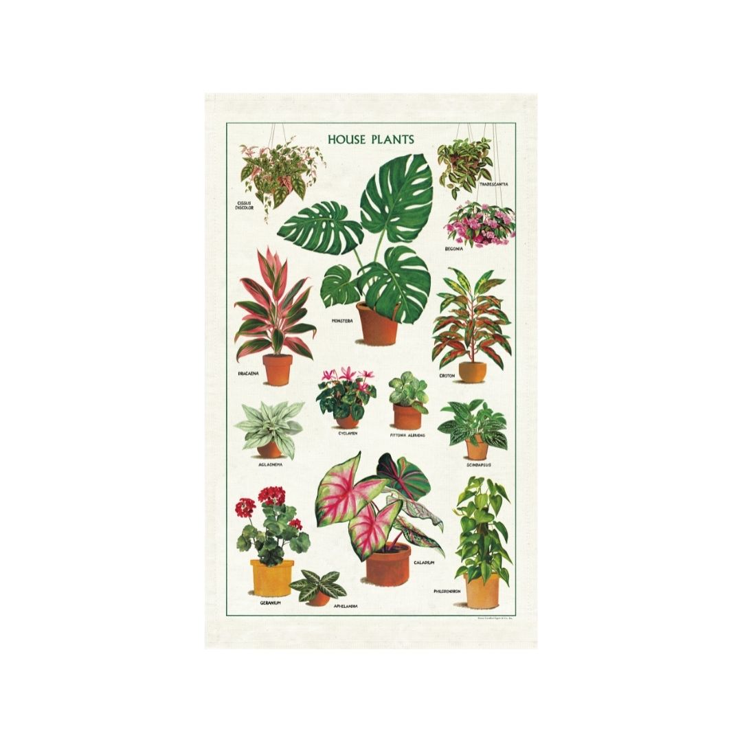 Cavallini & Co. Tea Towel - House Plants