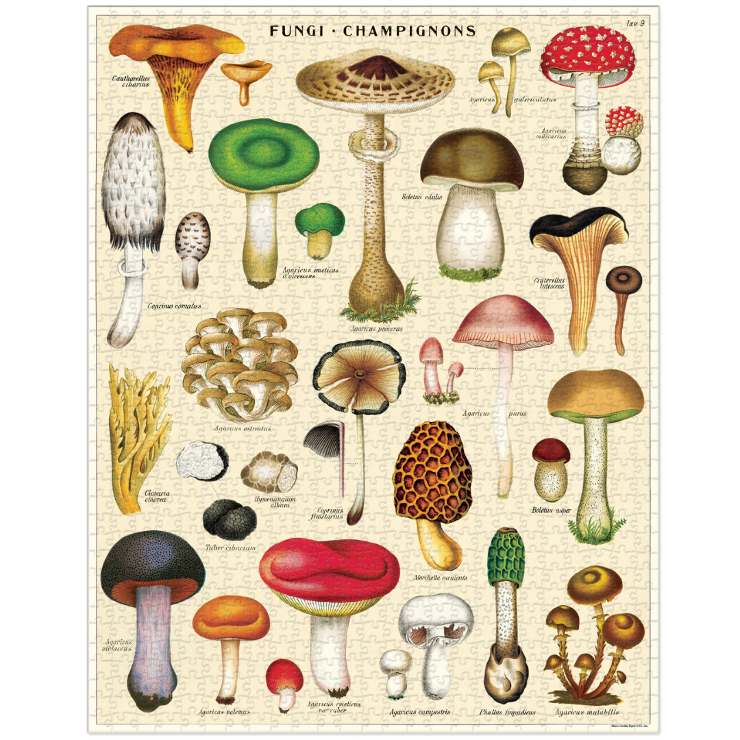 Cavallini & Co. 1000 Piece Puzzle - Mushroom