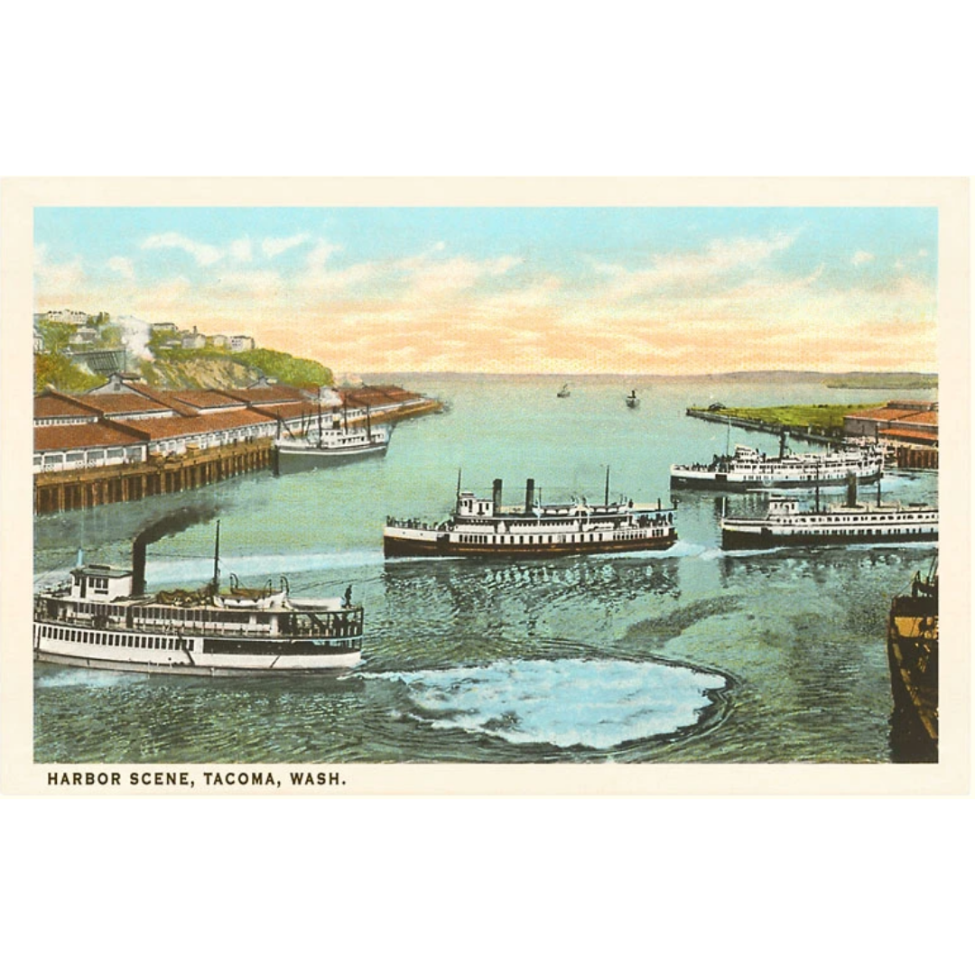 Harbor Scene Postcard