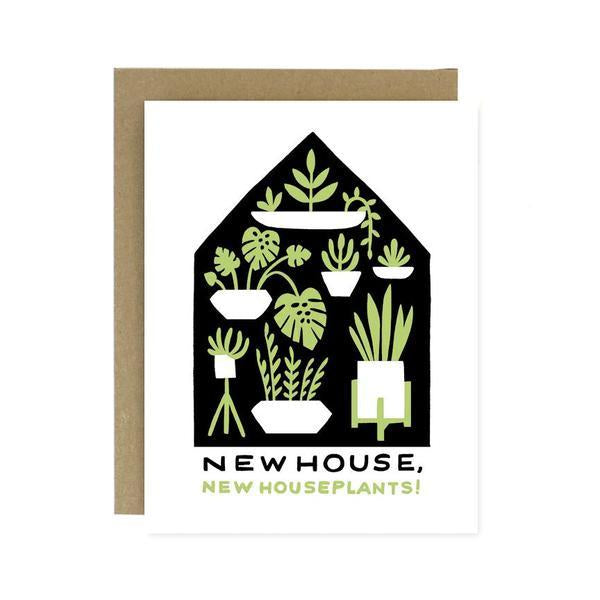 house warming plant Housewarming Plants – Stocklist