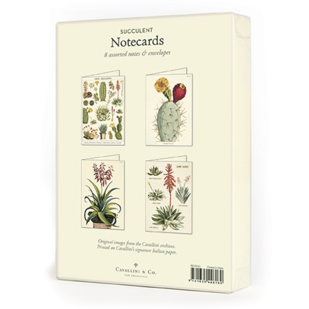 Cavallini & Co. Boxed Note Cards - Succulents