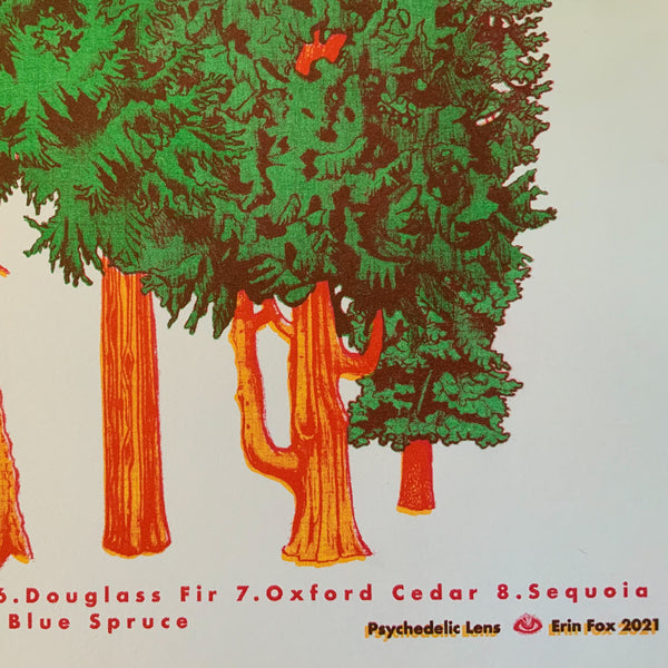 Conifer Riso Print