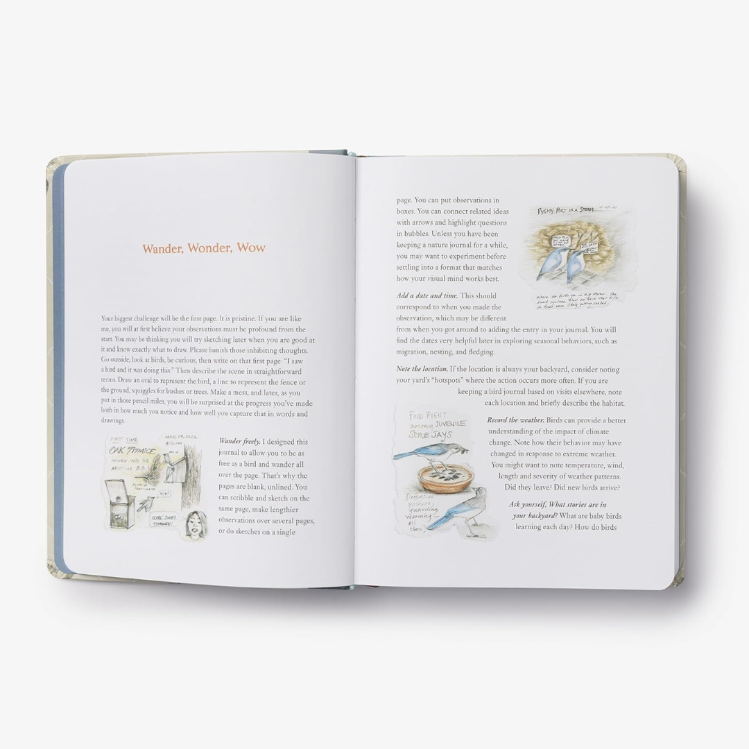 Sample pages of prompts and illustrations to consider for journaling 