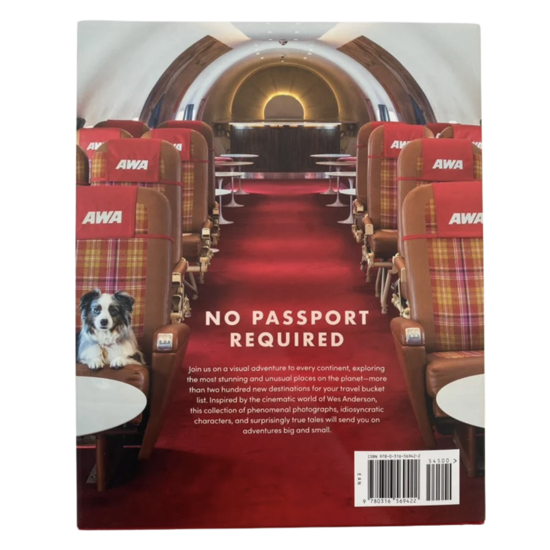 Back of the book featured the interior of a vintage looking airplane with an adorable dog