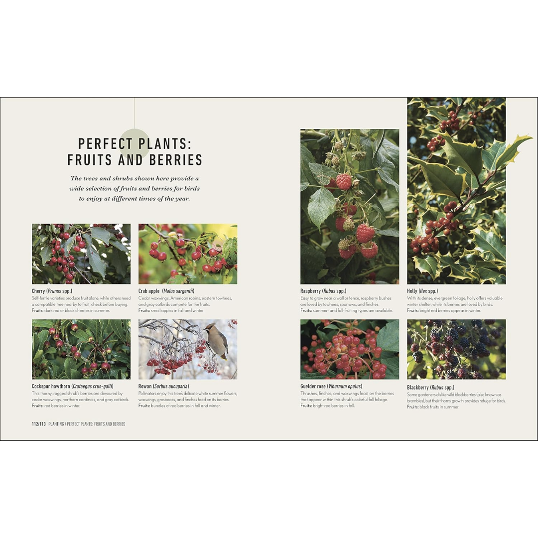 Sample pages show "Perfect Plants: Fruits and Berries"