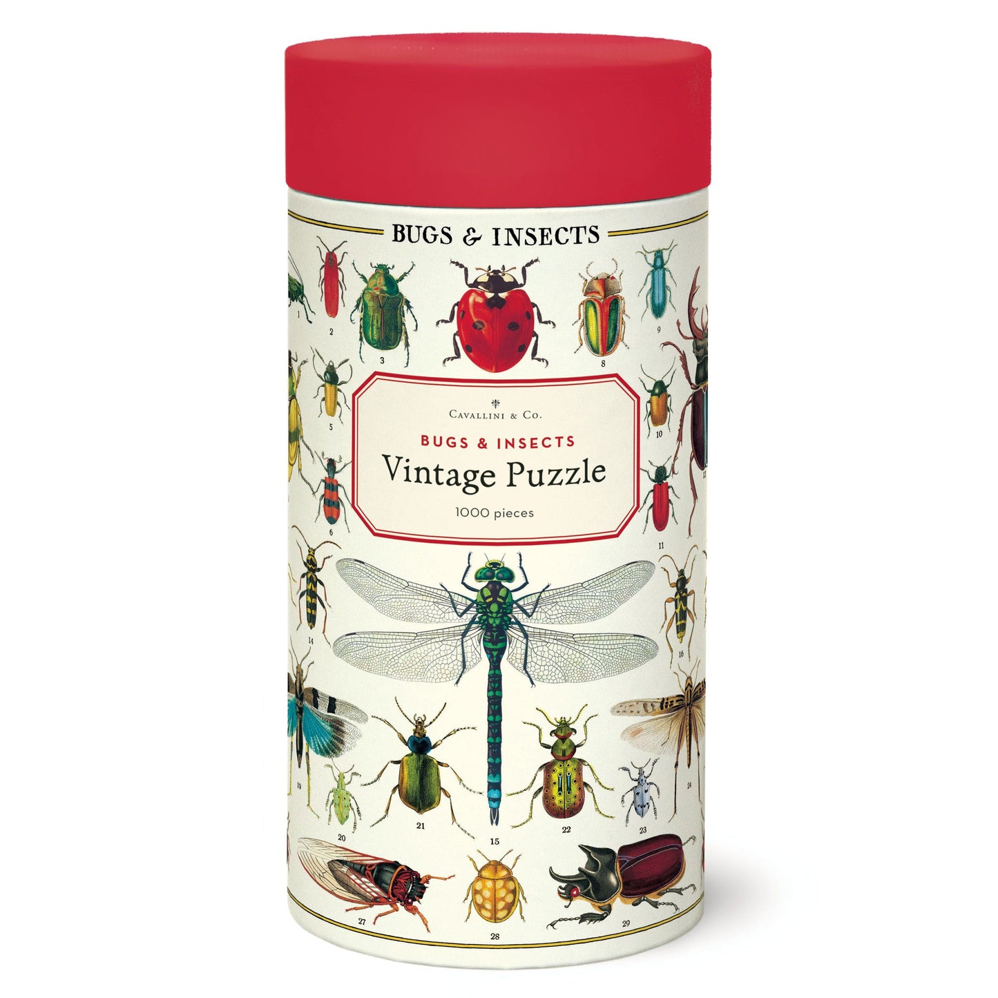 Cavallini & Co. brand puzzle container of bugs and insects style